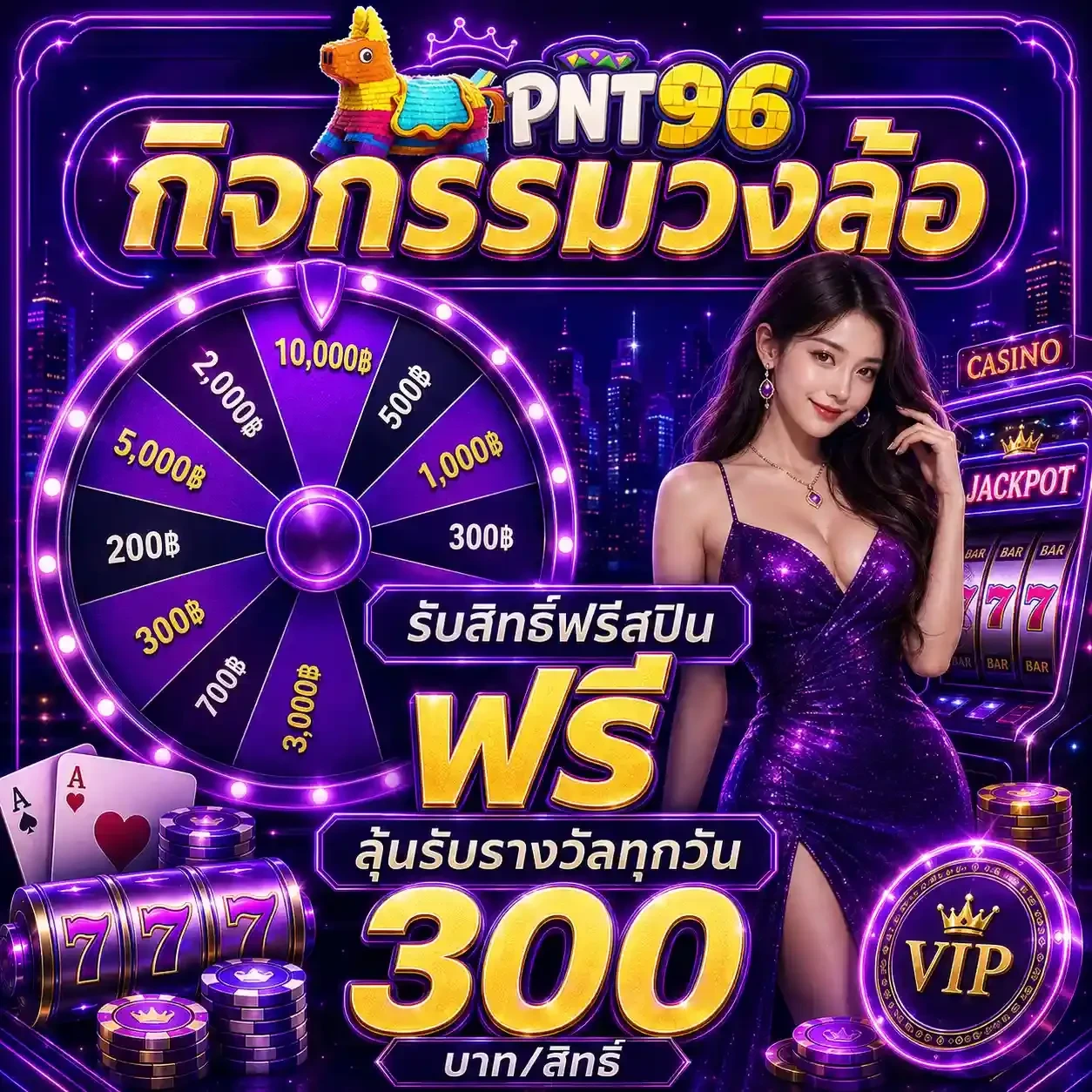imgi_3_PNT96-6